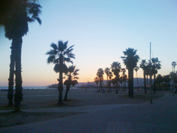 santamonica.jpg